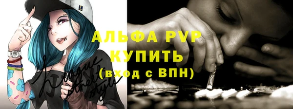 гашик Кулебаки