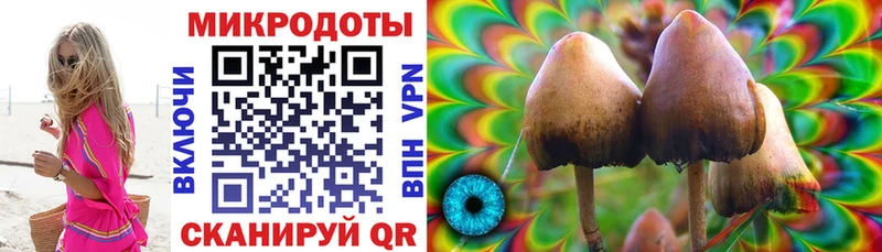 Псилоцибиновые грибы GOLDEN TEACHER  Плавск 